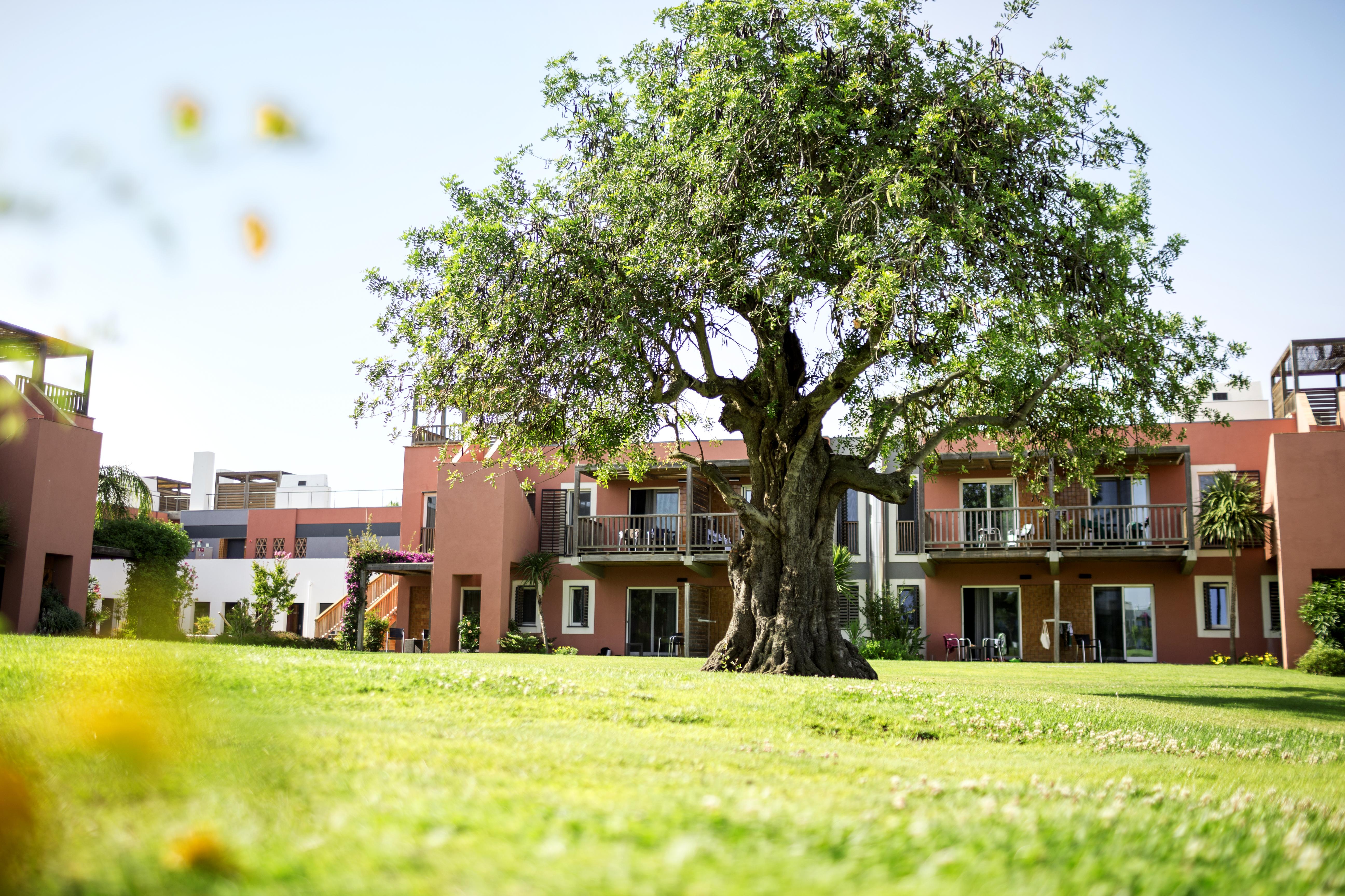 Robinson Quinta Da Ria Hotel Vila Nova de Cacela Luaran gambar